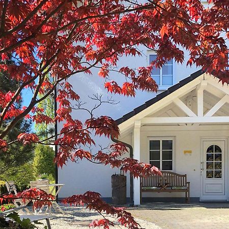 Ferienwohnung Fleckenberg 슈말렌부르크 외부 사진